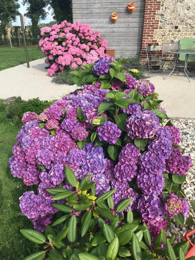 La Grange Aux Hortensias Thiergeville エクステリア 写真