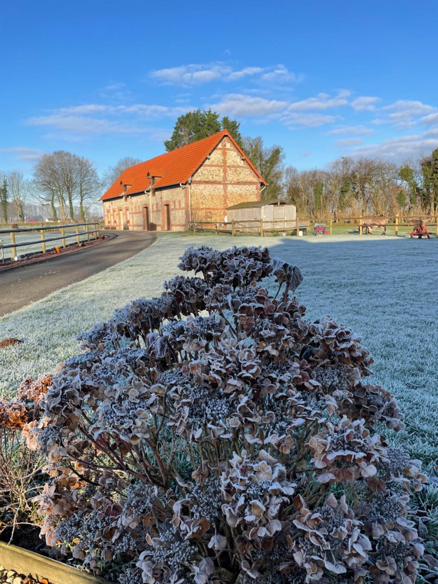 La Grange Aux Hortensias Thiergeville エクステリア 写真